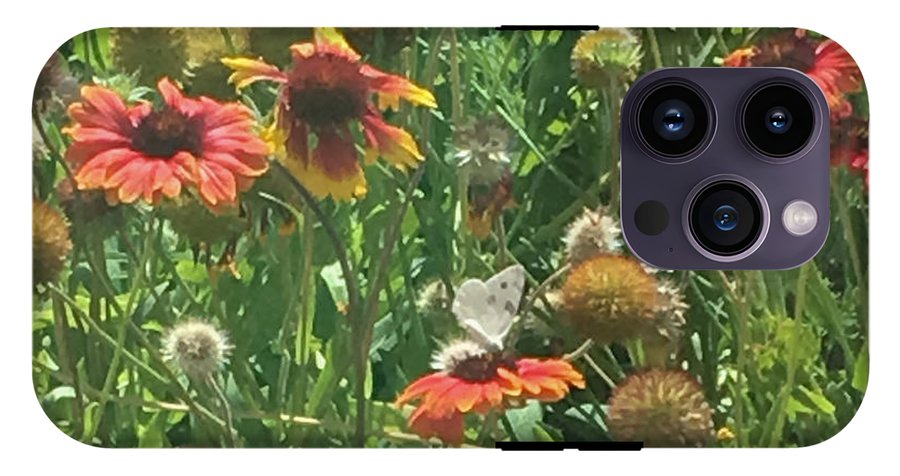 Butterfly on Gaillardia - Phone Case