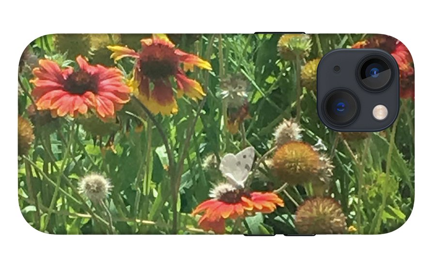 Butterfly on Gaillardia - Phone Case