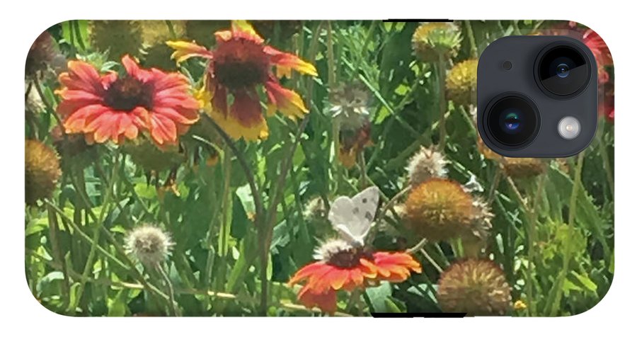 Butterfly on Gaillardia - Phone Case