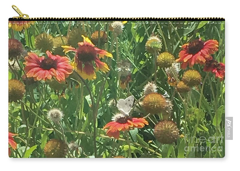 Butterfly on Gaillardia - Zip Pouch