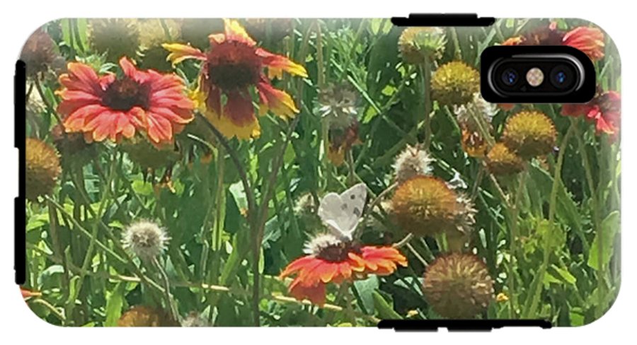 Butterfly on Gaillardia - Phone Case