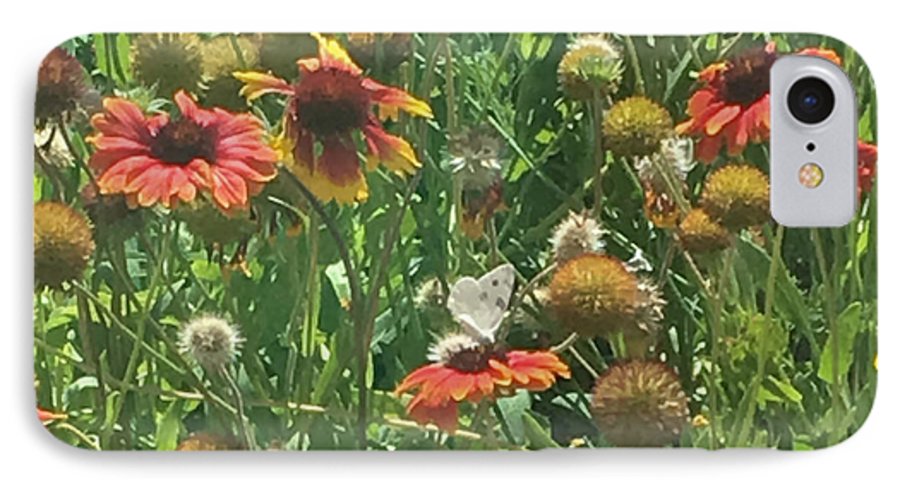 Butterfly on Gaillardia - Phone Case