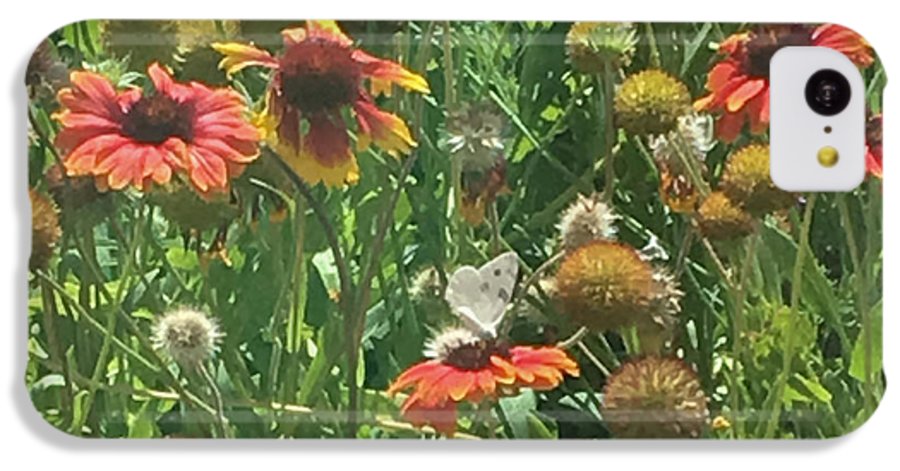 Butterfly on Gaillardia - Phone Case