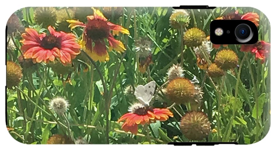 Butterfly on Gaillardia - Phone Case