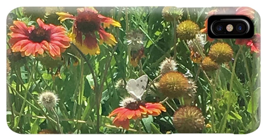 Butterfly on Gaillardia - Phone Case