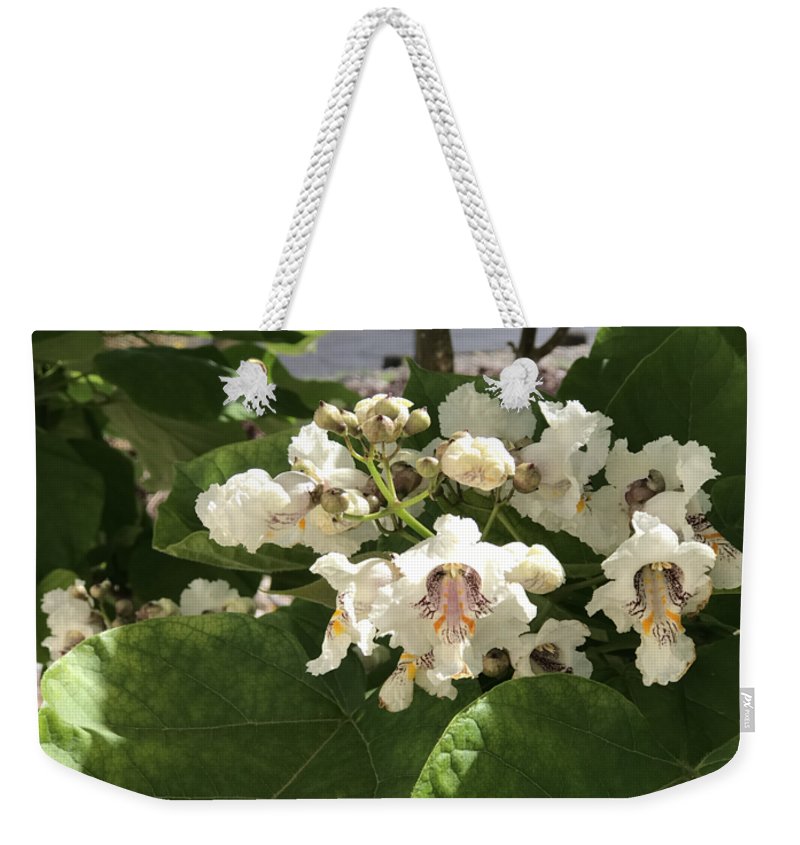 Catalpa - Weekender Tote Bag