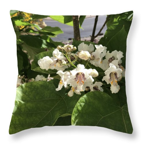 Catalpa - Throw Pillow