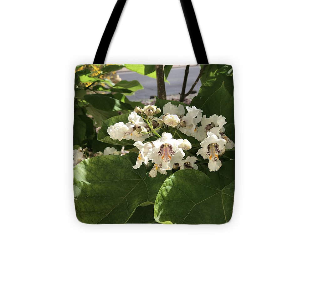 Catalpa - Tote Bag