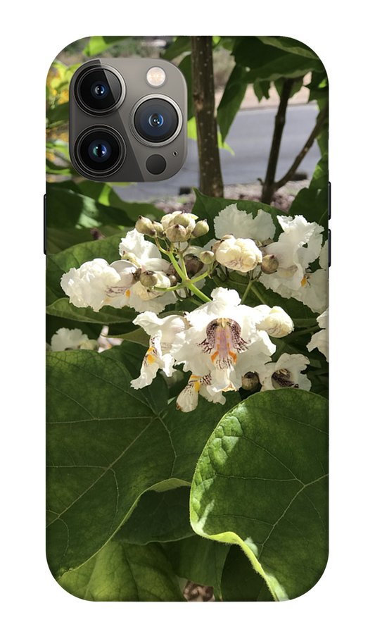 Catalpa - Phone Case