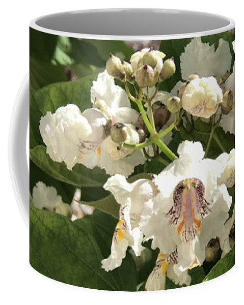 Catalpa - Mug