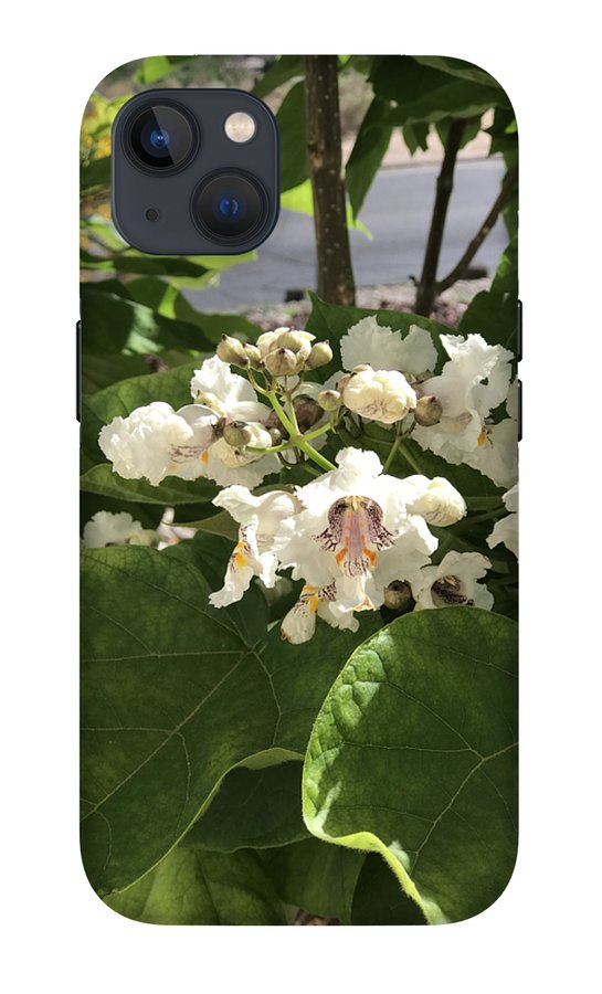 Catalpa - Phone Case