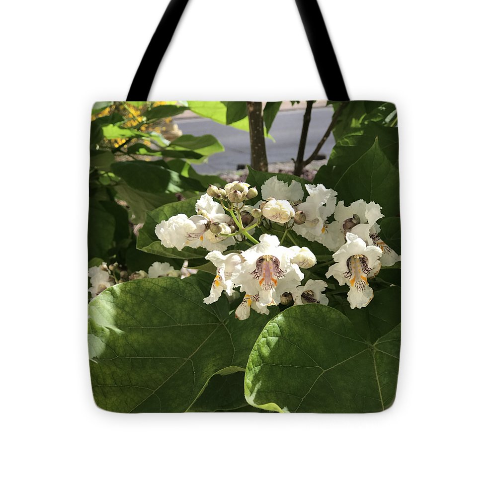 Catalpa - Tote Bag