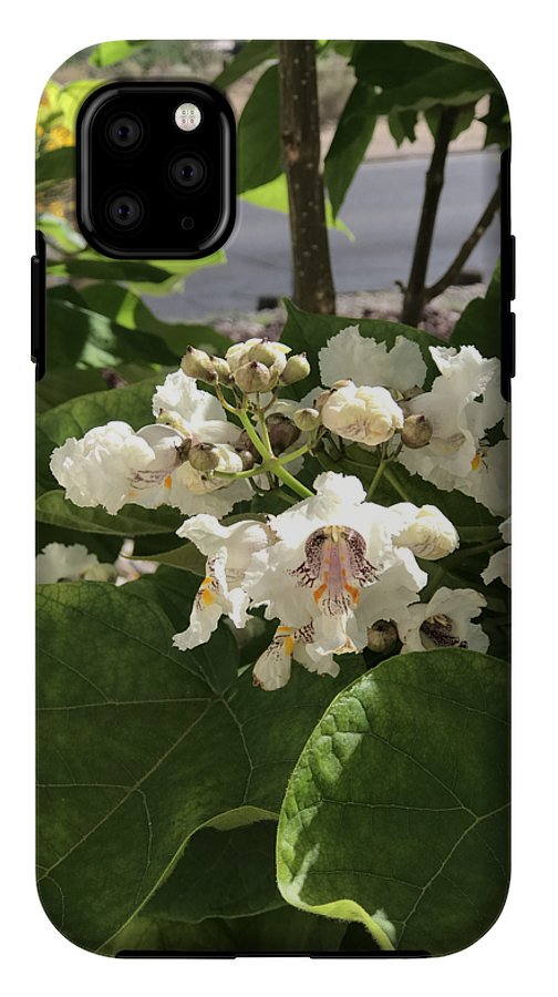 Catalpa - Phone Case