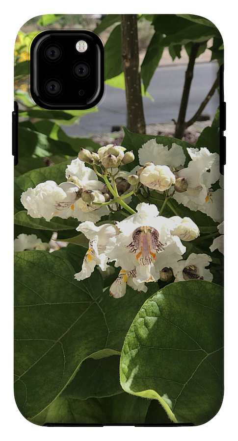 Catalpa - Phone Case