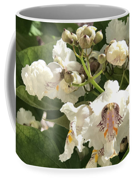 Catalpa - Mug