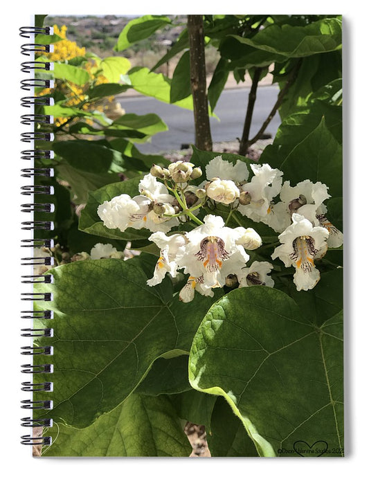 Catalpa - Spiral Notebook