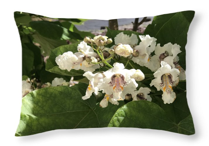 Catalpa - Throw Pillow