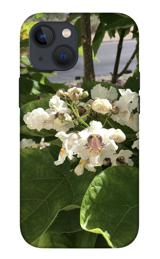 Catalpa - Phone Case