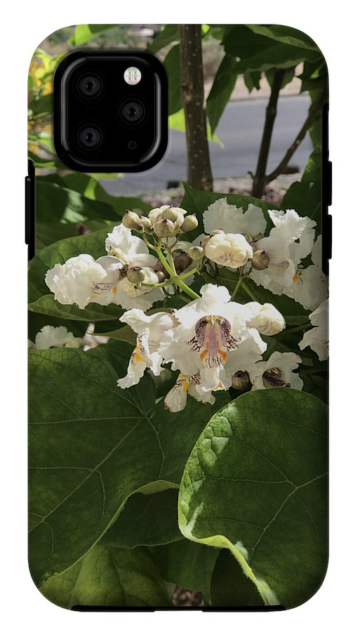 Catalpa - Phone Case