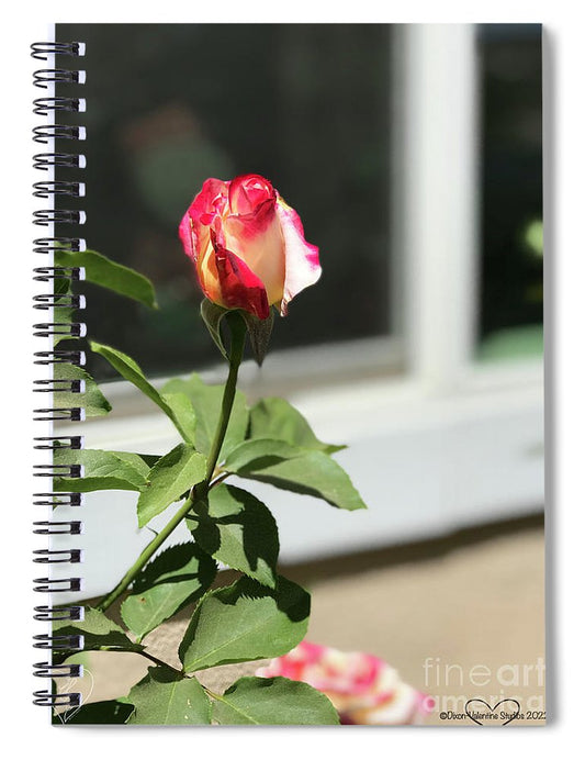 Dipped in Pink - Spiral Notebook