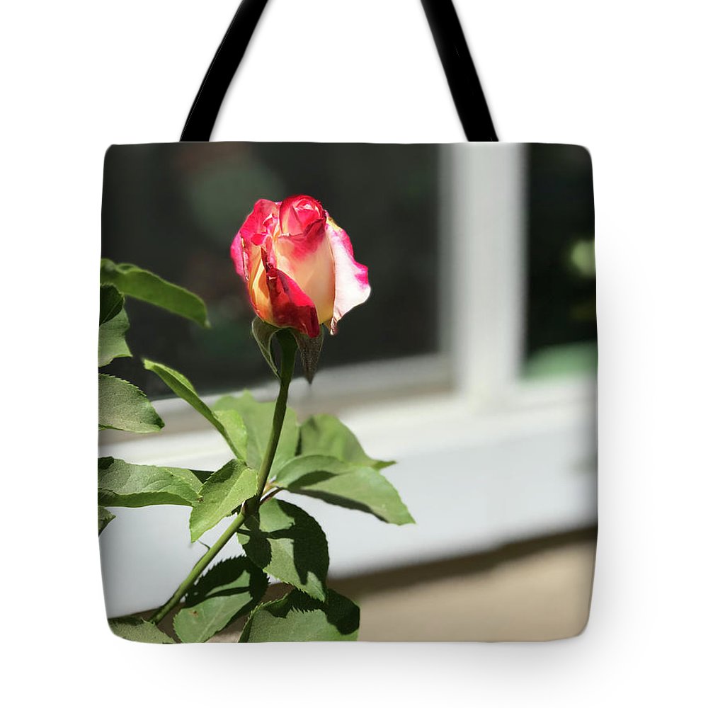 Dipped in Pink - Tote Bag