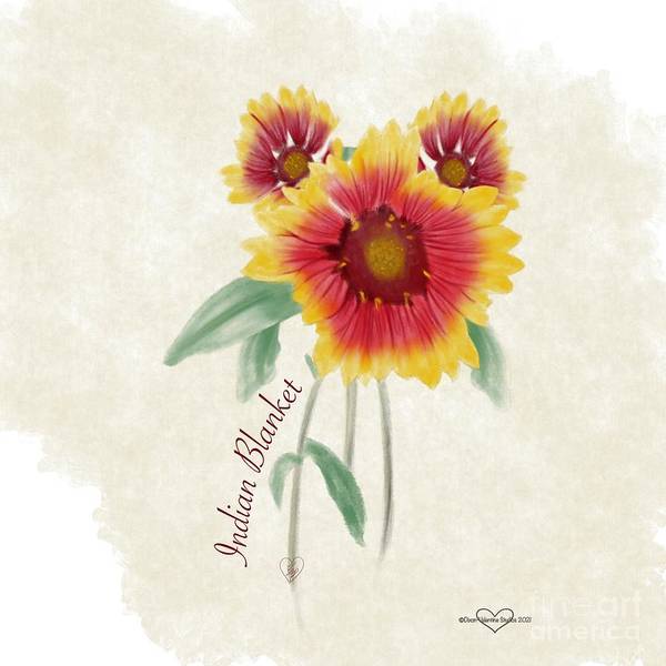 Indian Blanket - Art Print