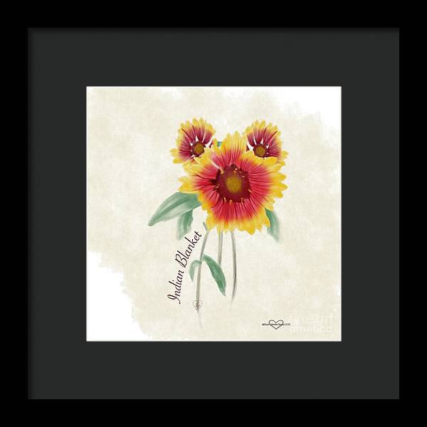 Indian Blanket - Framed Print