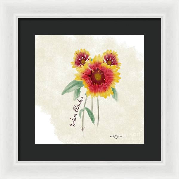 Indian Blanket - Framed Print