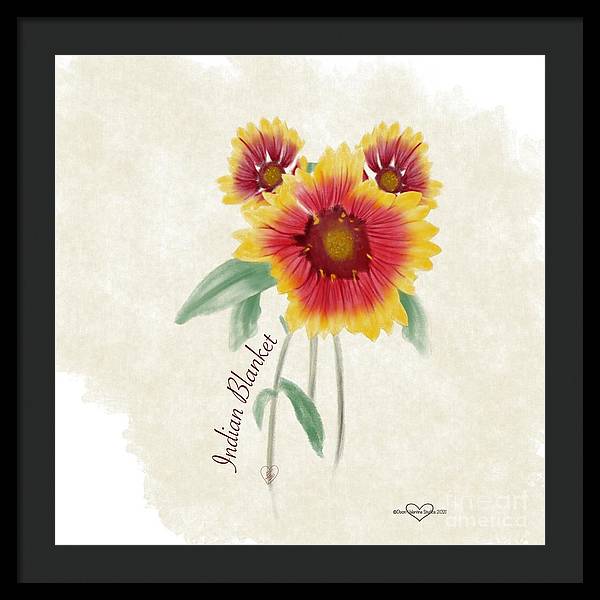 Indian Blanket - Framed Print