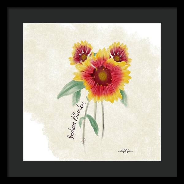 Indian Blanket - Framed Print