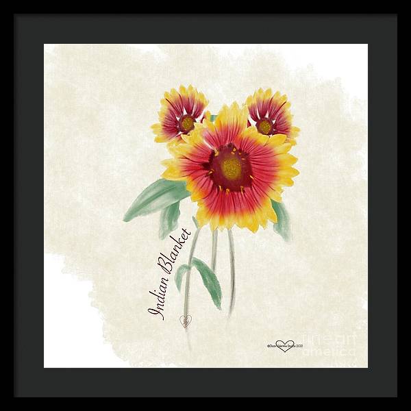 Indian Blanket - Framed Print