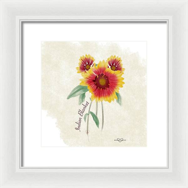 Indian Blanket - Framed Print