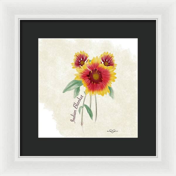 Indian Blanket - Framed Print