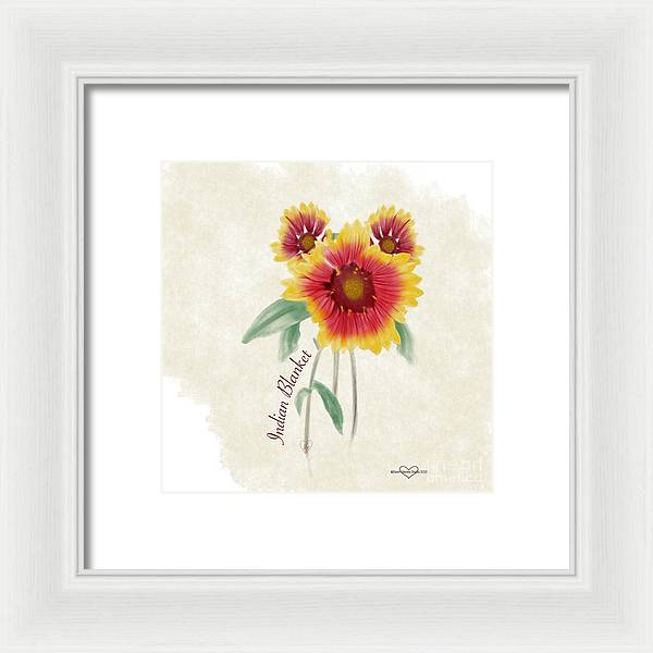 Indian Blanket - Framed Print