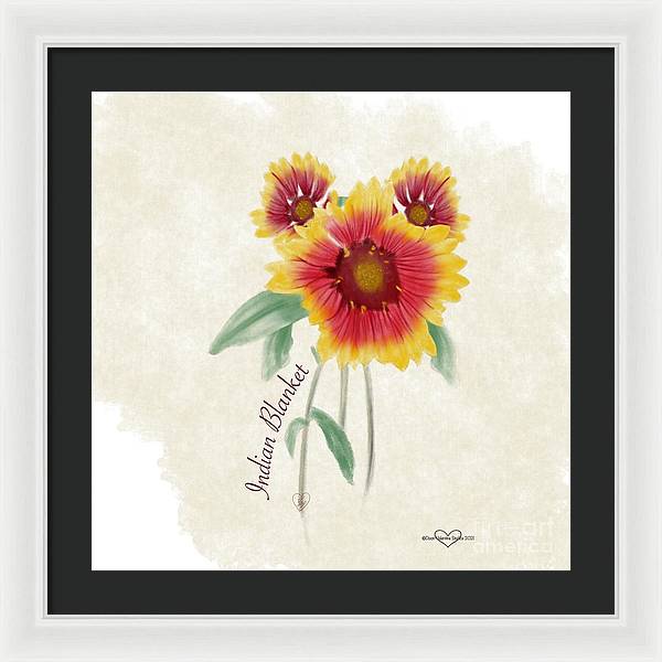 Indian Blanket - Framed Print