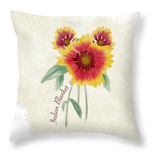 Indian Blanket - Throw Pillow