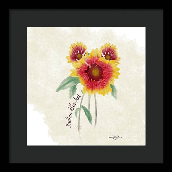 Indian Blanket - Framed Print