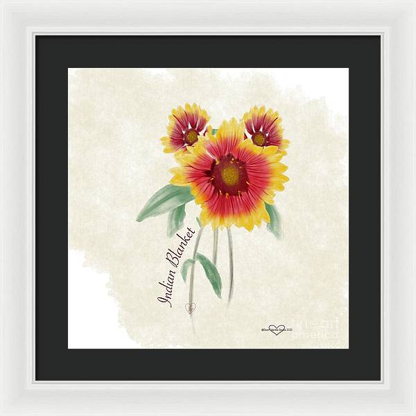 Indian Blanket - Framed Print