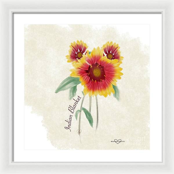 Indian Blanket - Framed Print