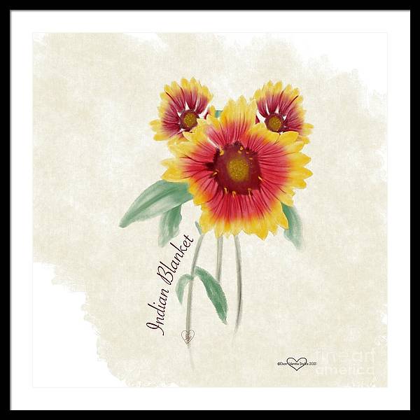 Indian Blanket - Framed Print