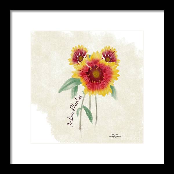 Indian Blanket - Framed Print