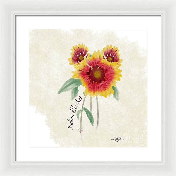 Indian Blanket - Framed Print