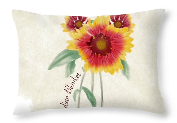 Indian Blanket - Throw Pillow