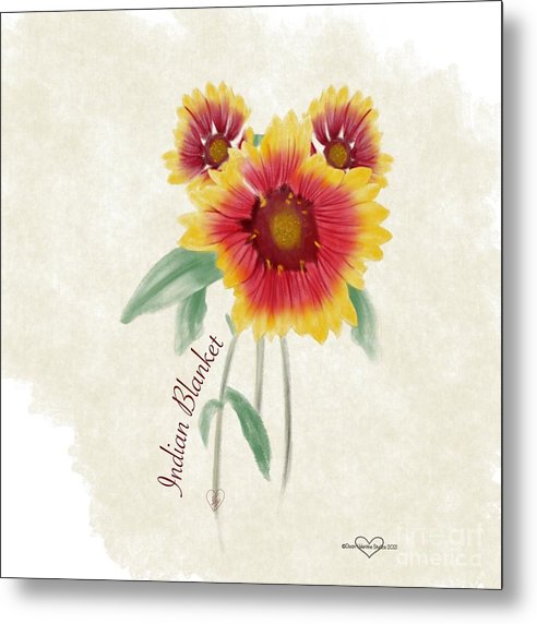 Indian Blanket - Metal Print