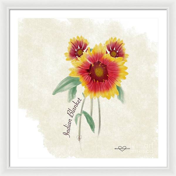 Indian Blanket - Framed Print