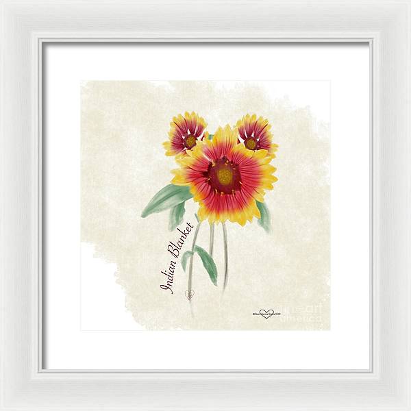 Indian Blanket - Framed Print