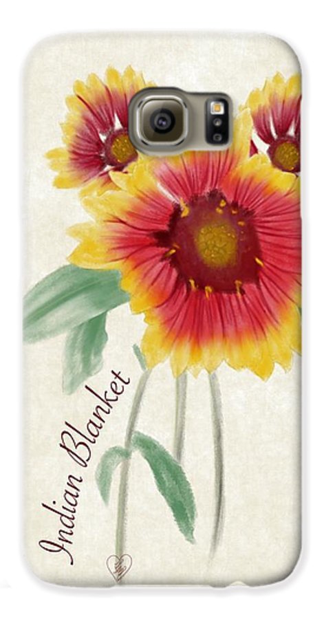 Indian Blanket - Phone Case