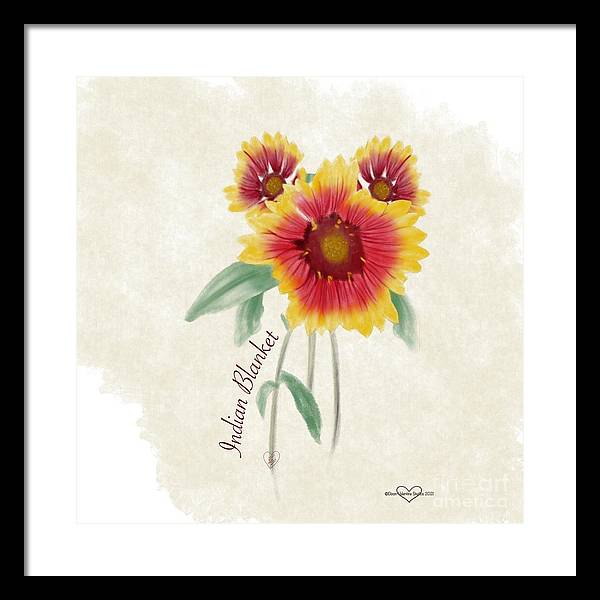 Indian Blanket - Framed Print