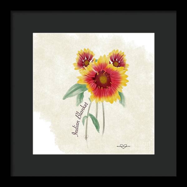 Indian Blanket - Framed Print