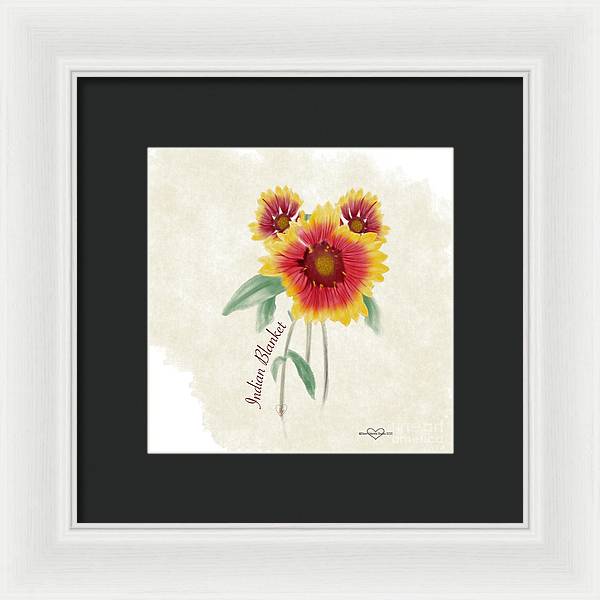 Indian Blanket - Framed Print